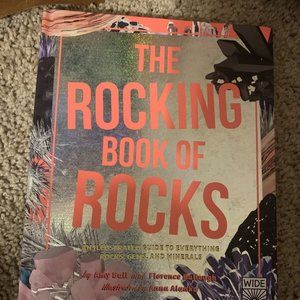 4/$16 The Rocking Book of Rocks - Amy Ball - Kids
